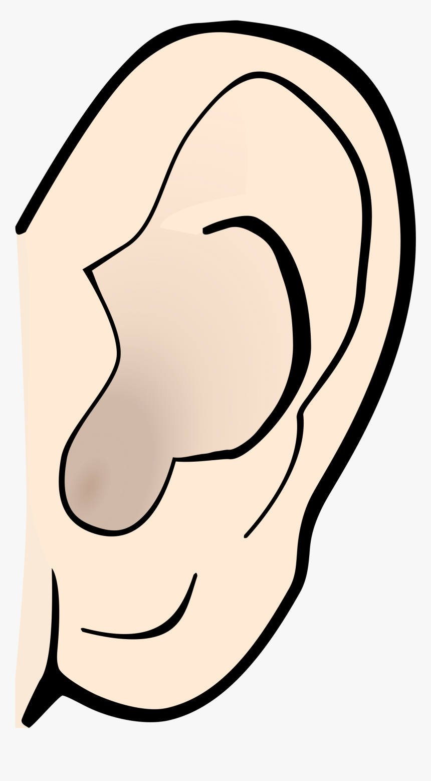 Detail Ears Clipart Nomer 43