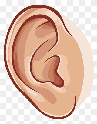 Detail Ears Clipart Nomer 6