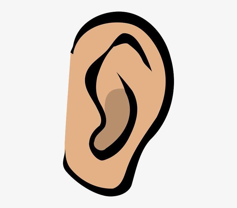 Detail Ears Clipart Nomer 7