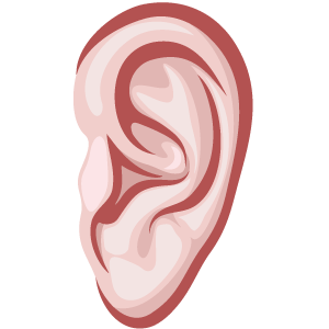 Detail Ears Png Nomer 15