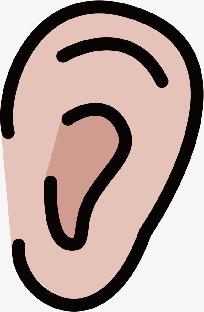 Detail Ears Png Nomer 17