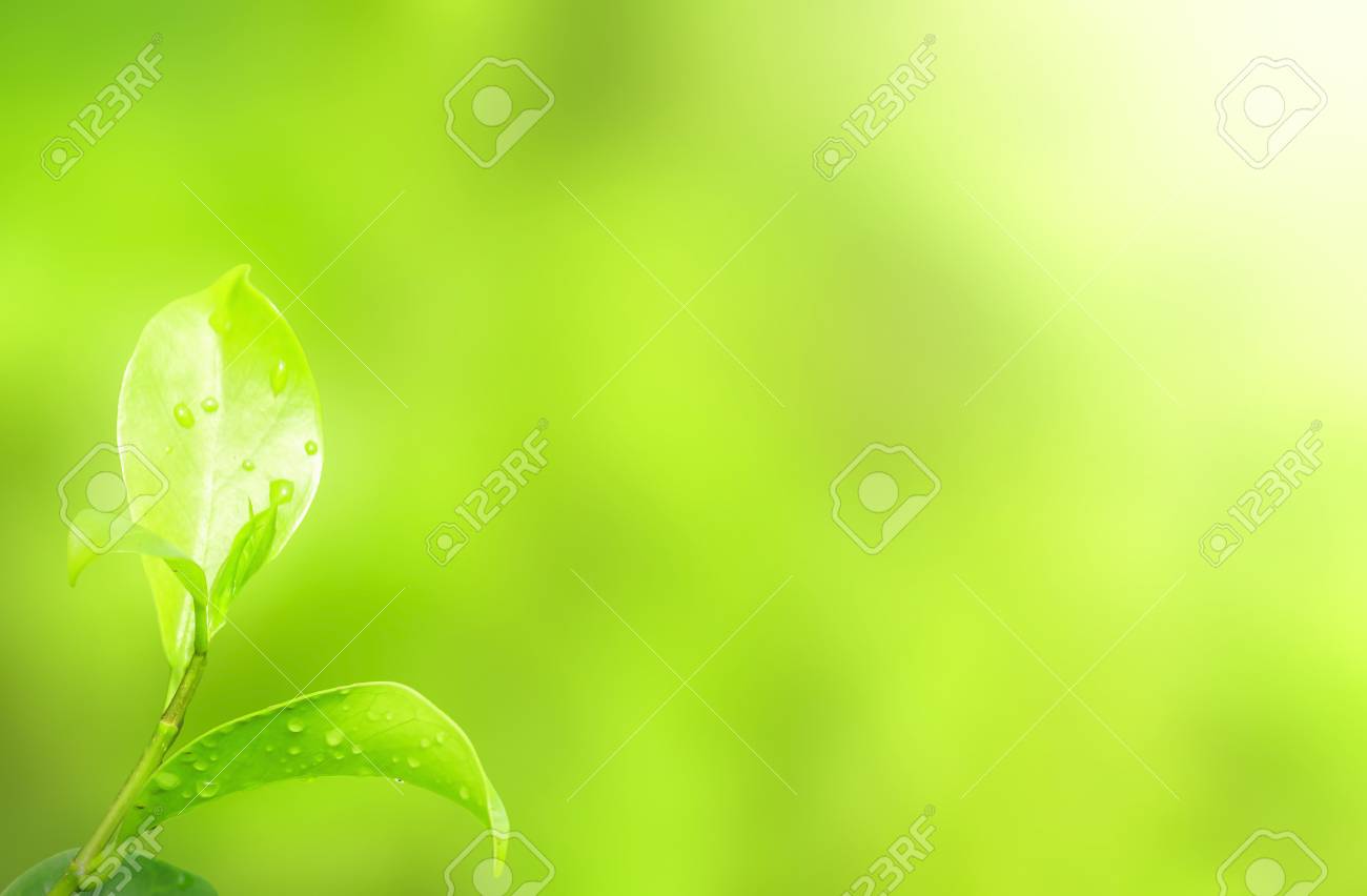 Detail Earth Day Background Images Nomer 41