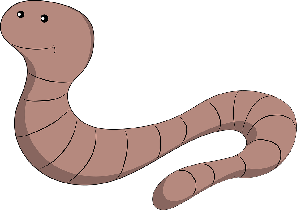 Detail Earthworm Png Nomer 20