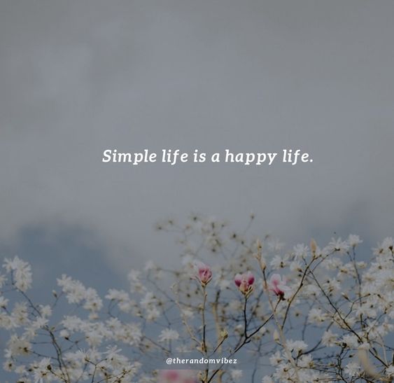Detail Easy Quotes On Life Nomer 13
