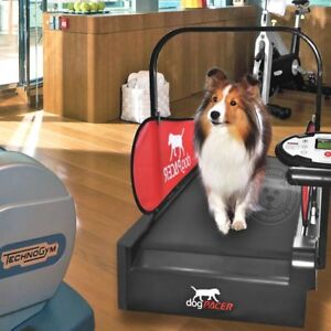 Detail Ebay Dog Treadmill Nomer 4