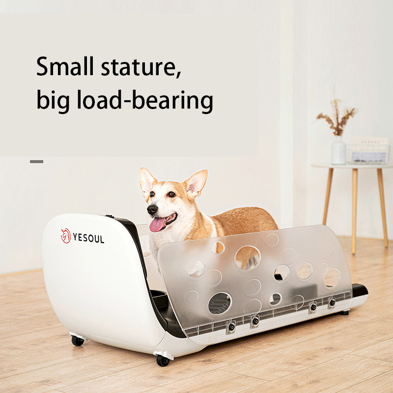 Detail Ebay Dog Treadmill Nomer 31