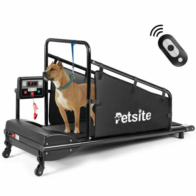 Detail Ebay Dog Treadmill Nomer 5