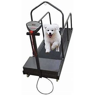 Detail Ebay Dog Treadmill Nomer 41