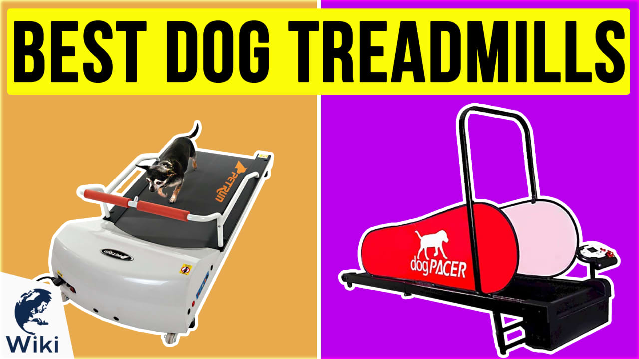 Detail Ebay Dog Treadmill Nomer 54