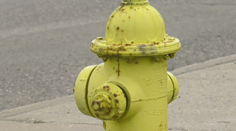 Detail Ebay Fire Hydrant Nomer 20