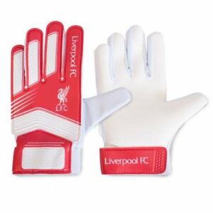 Detail Ebay Goalkeeper Gloves Nomer 48