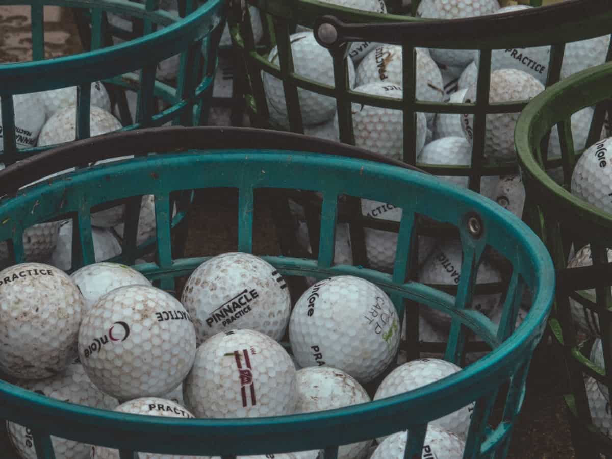 Detail Ebay Golf Ball Retriever Nomer 27