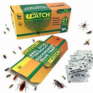 Detail Ebay Roach Killer Nomer 11