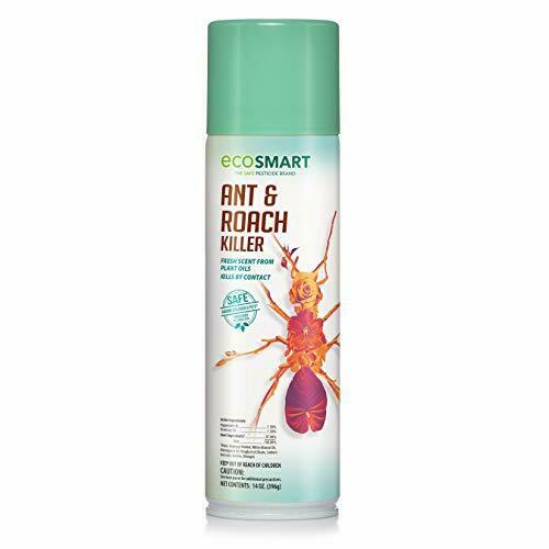 Detail Ebay Roach Killer Nomer 27