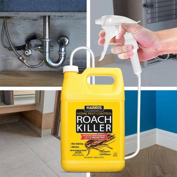Detail Ebay Roach Killer Nomer 30