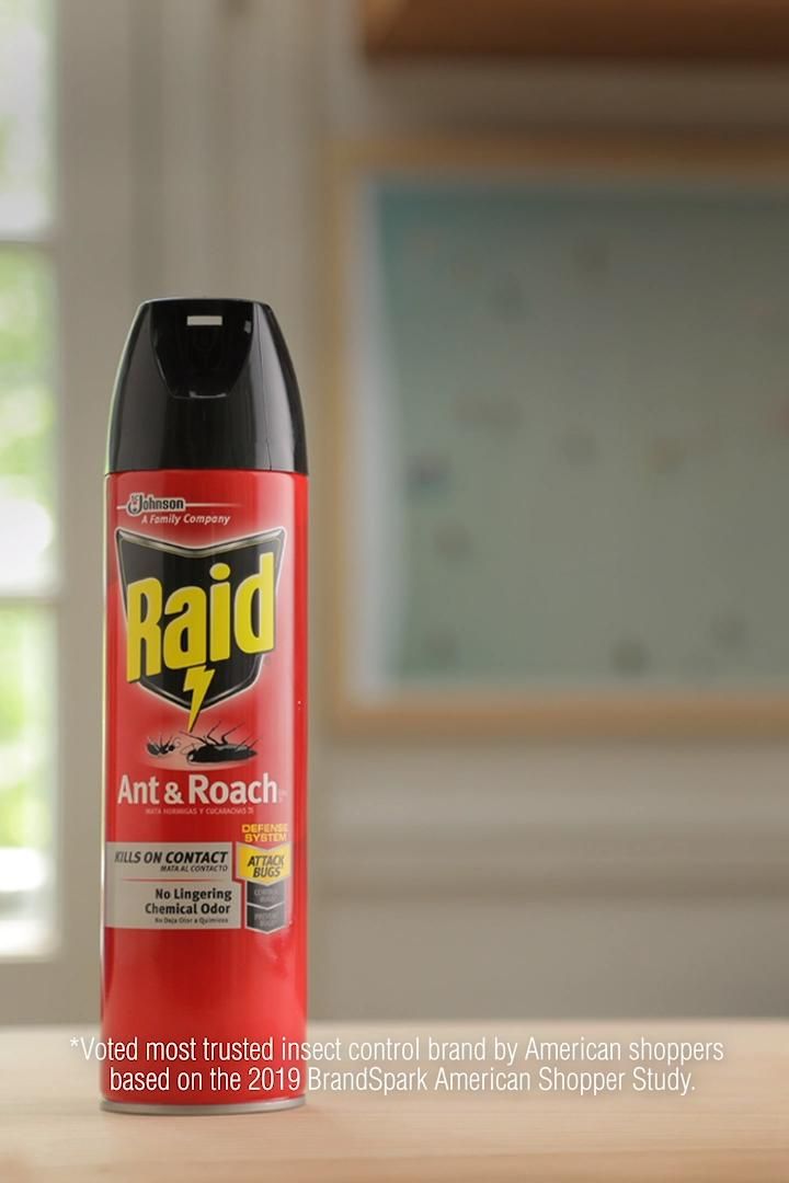 Detail Ebay Roach Killer Nomer 45
