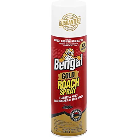 Detail Ebay Roach Killer Nomer 49