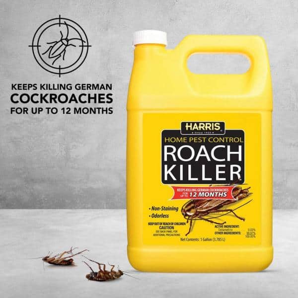 Detail Ebay Roach Killer Nomer 57