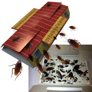 Detail Ebay Roach Killer Nomer 10