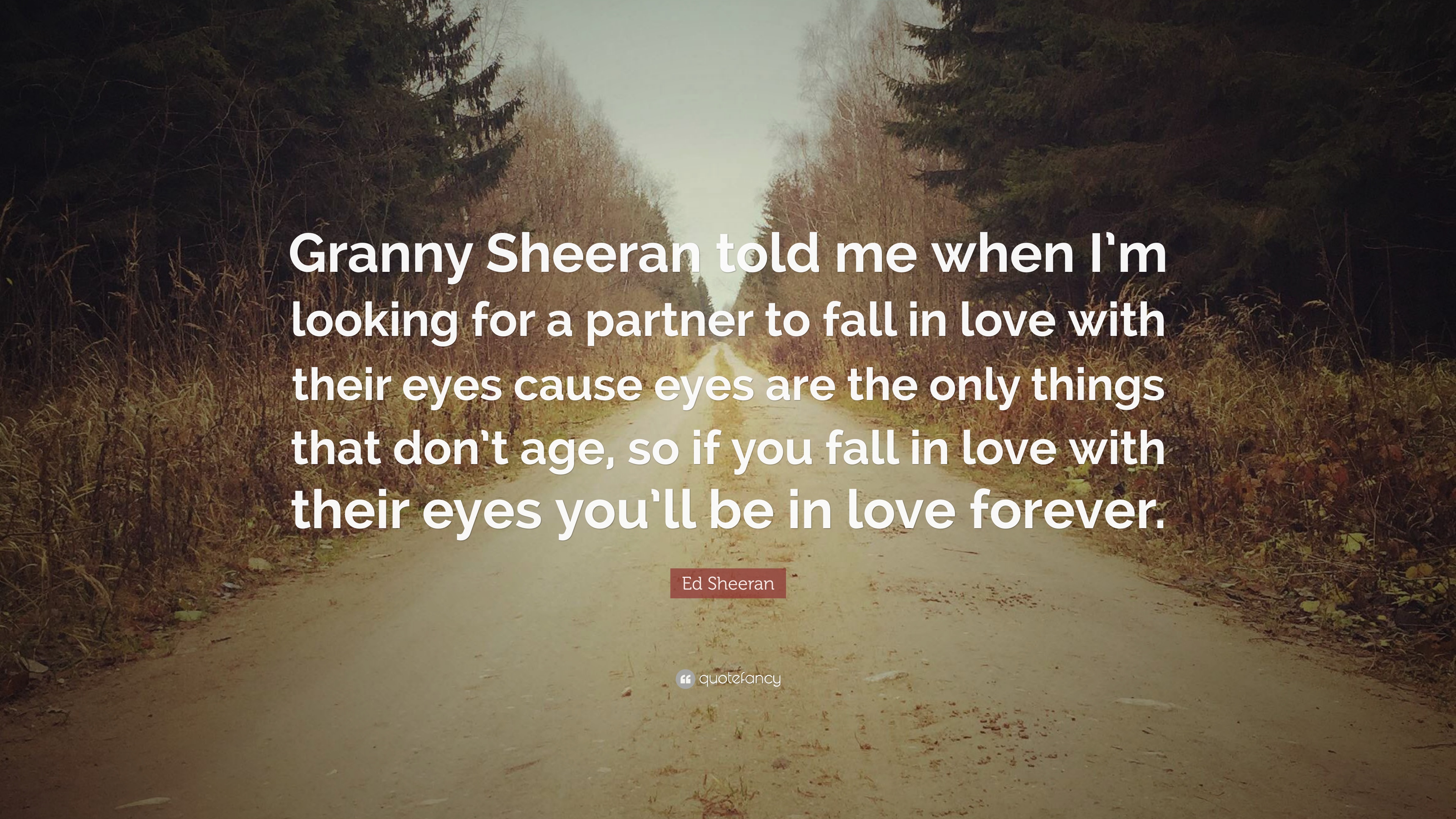 Detail Ed Sheeran Love Quotes Nomer 15