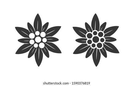 Detail Edelweis Vector Nomer 10
