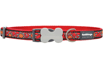 Detail Edelweiss Dog Collar Nomer 7