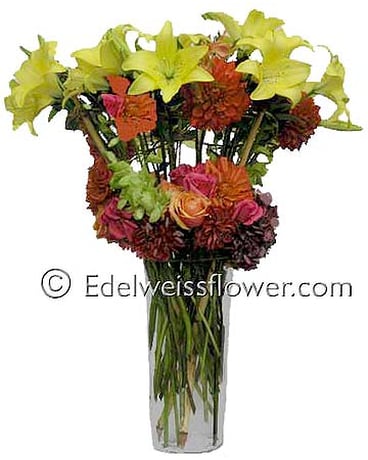 Detail Edelweiss Flower Bouquet Nomer 28