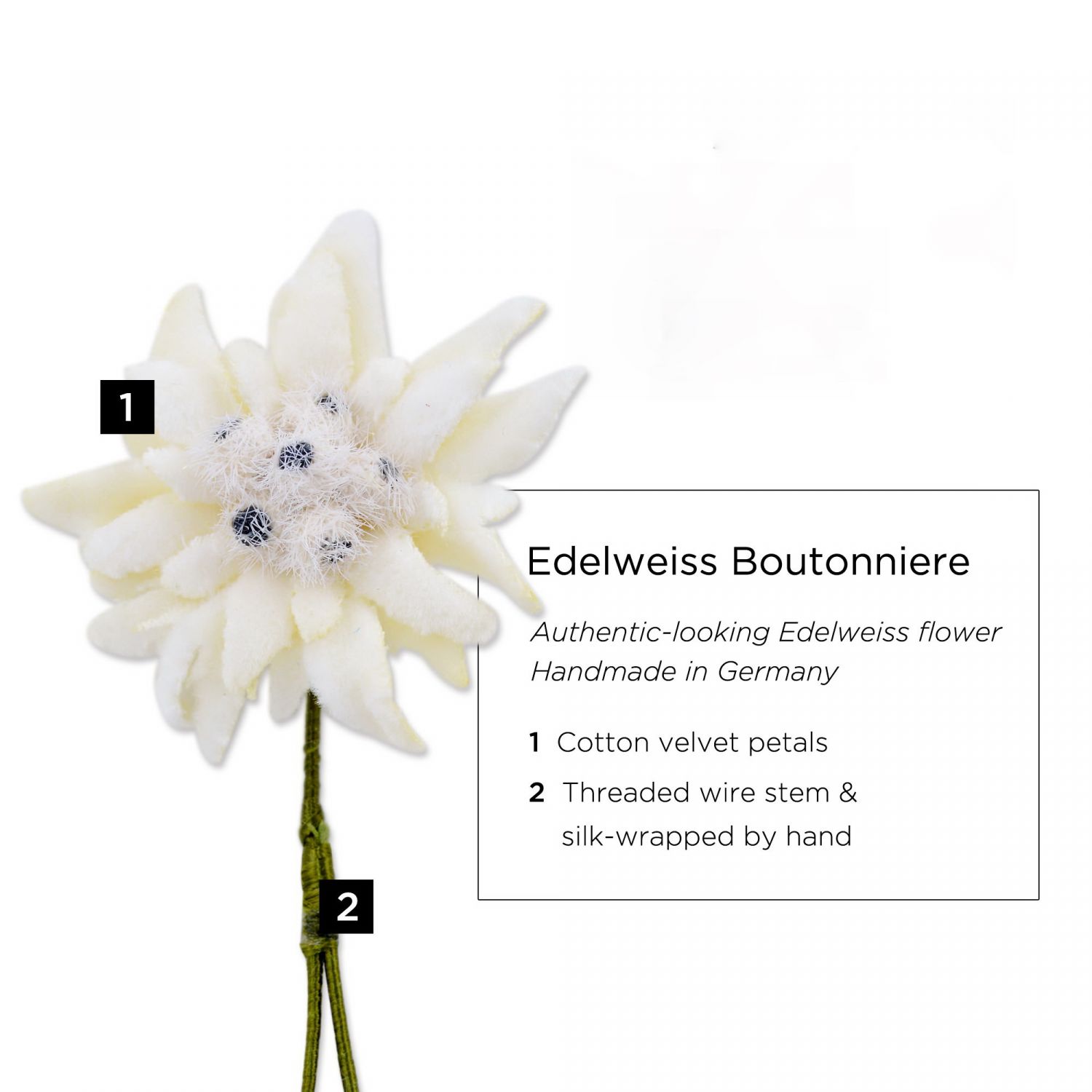 Detail Edelweiss Flower Images Nomer 18