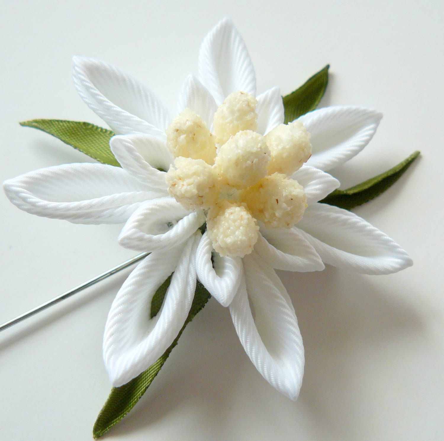 Detail Edelweiss Flower Images Nomer 37