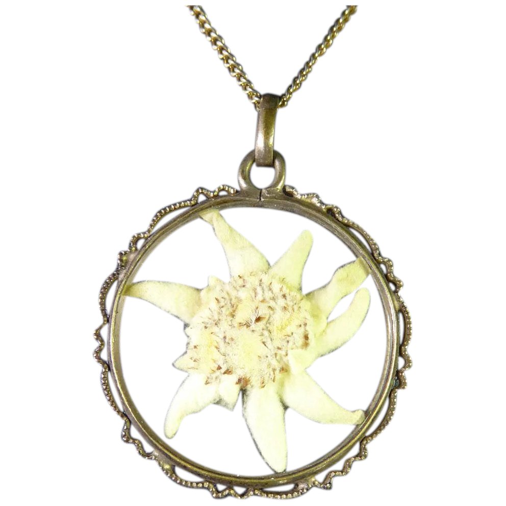 Detail Edelweiss Flower Necklace Nomer 16