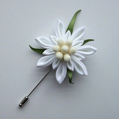 Detail Edelweiss Flower Photo Nomer 26