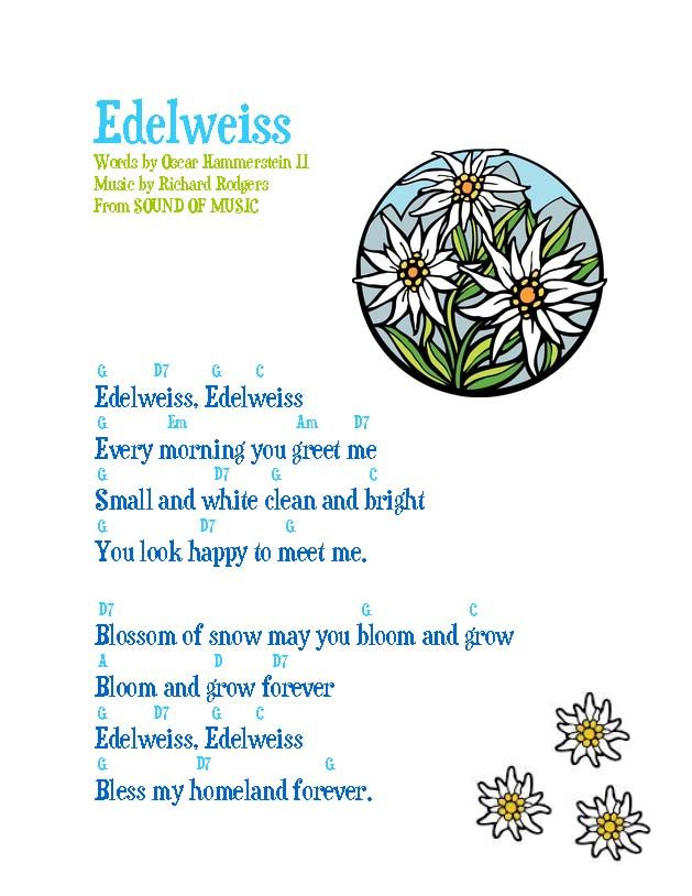 Detail Edelweiss Lyric Nomer 2