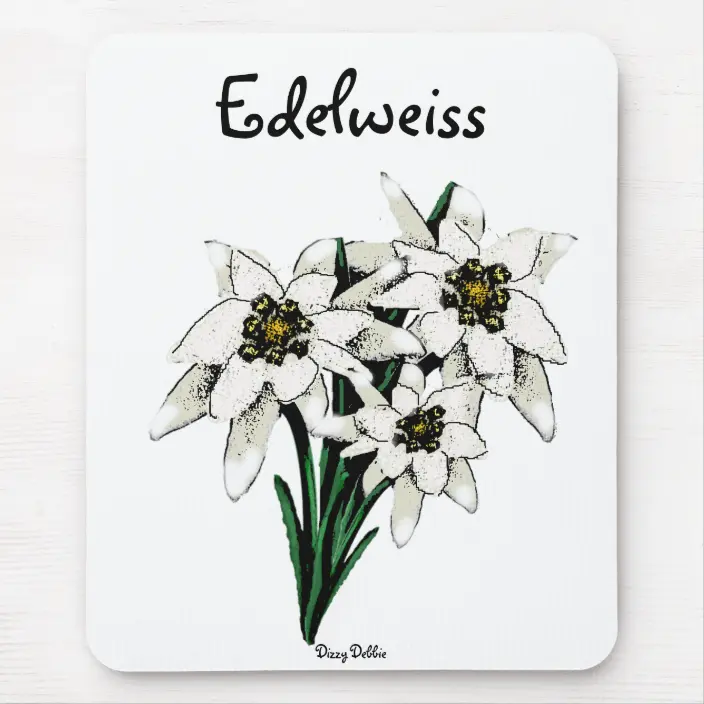 Detail Edelweiss Pictures Nomer 37