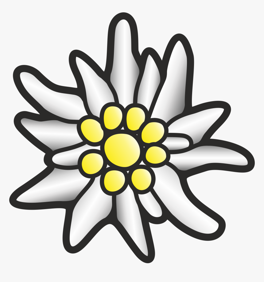 Detail Edelweiss Png Nomer 23