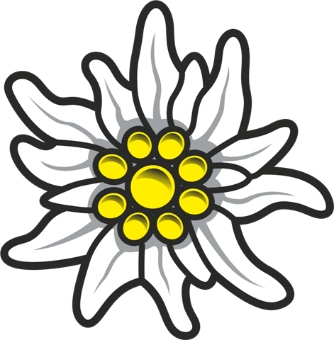 Detail Edelweiss Png Nomer 9