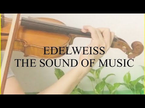 Detail Edelweiss Violin Nomer 26