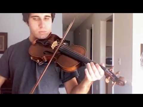 Detail Edelweiss Violin Nomer 31