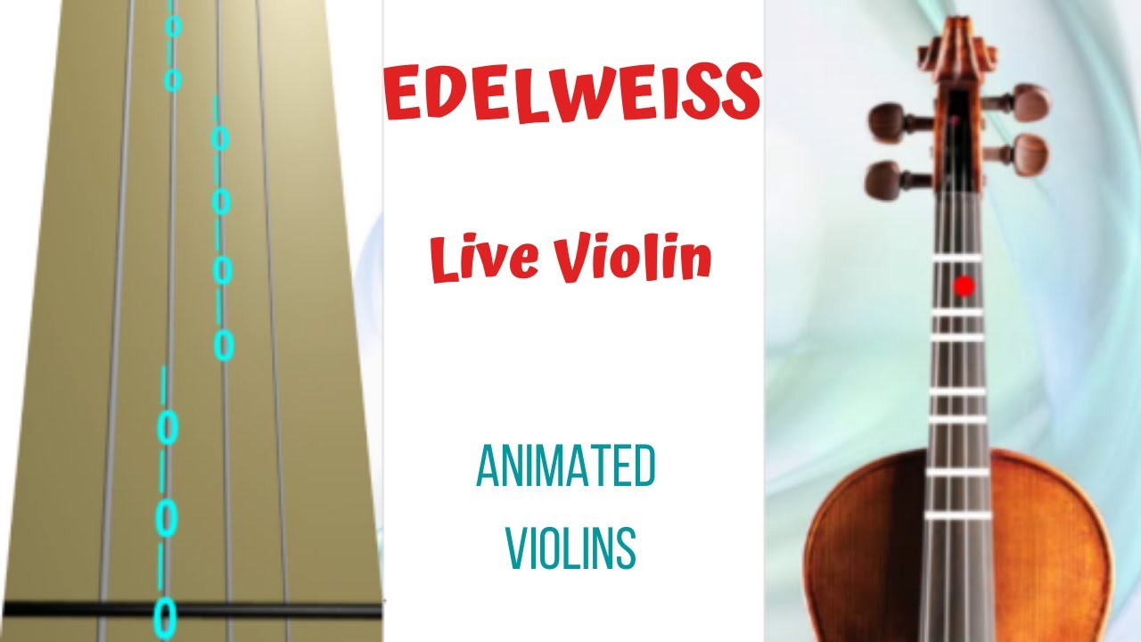 Detail Edelweiss Violin Nomer 34