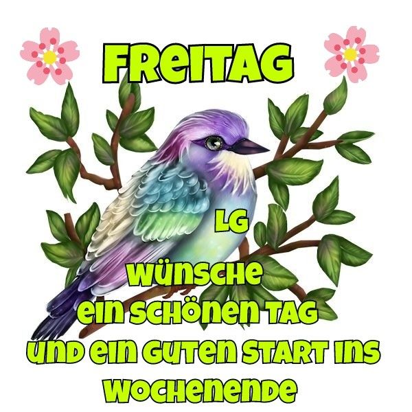 Detail Start Ins Wochenende Nomer 20