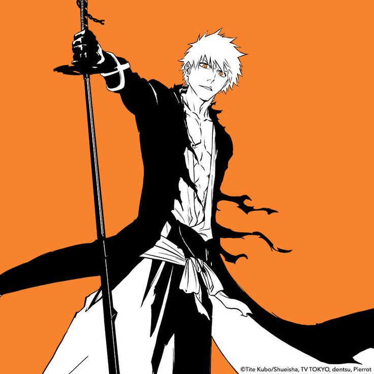 Detail Bleach Thousand Year Blood War Ichigo Nomer 16