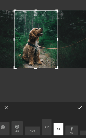 Detail Edit Bingkai Foto Instagram Nomer 23