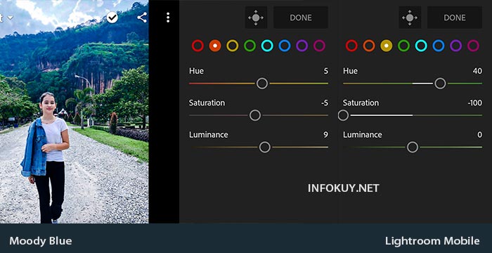 Detail Edit Foto Di Lightroom Ala Selebgram Nomer 11