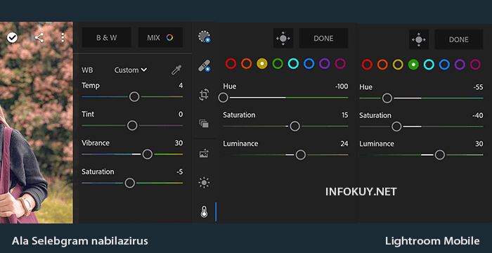 Detail Edit Foto Di Lightroom Ala Selebgram Nomer 33