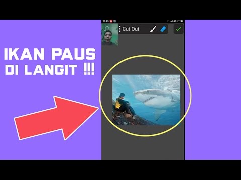 Detail Edit Foto Ikan Paus Di Langit Nomer 22