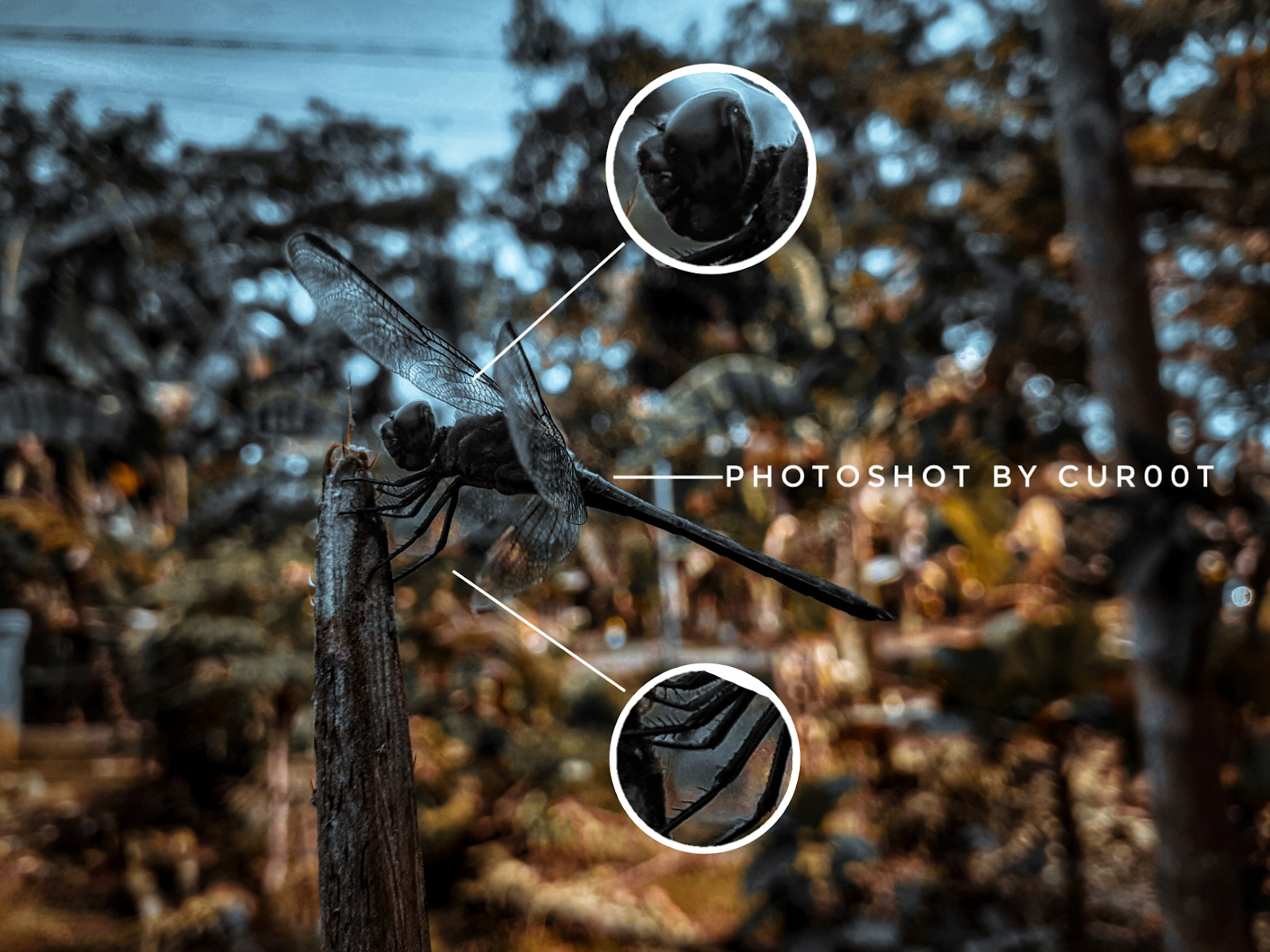 Detail Edit Foto Lightroom Keren Nomer 40