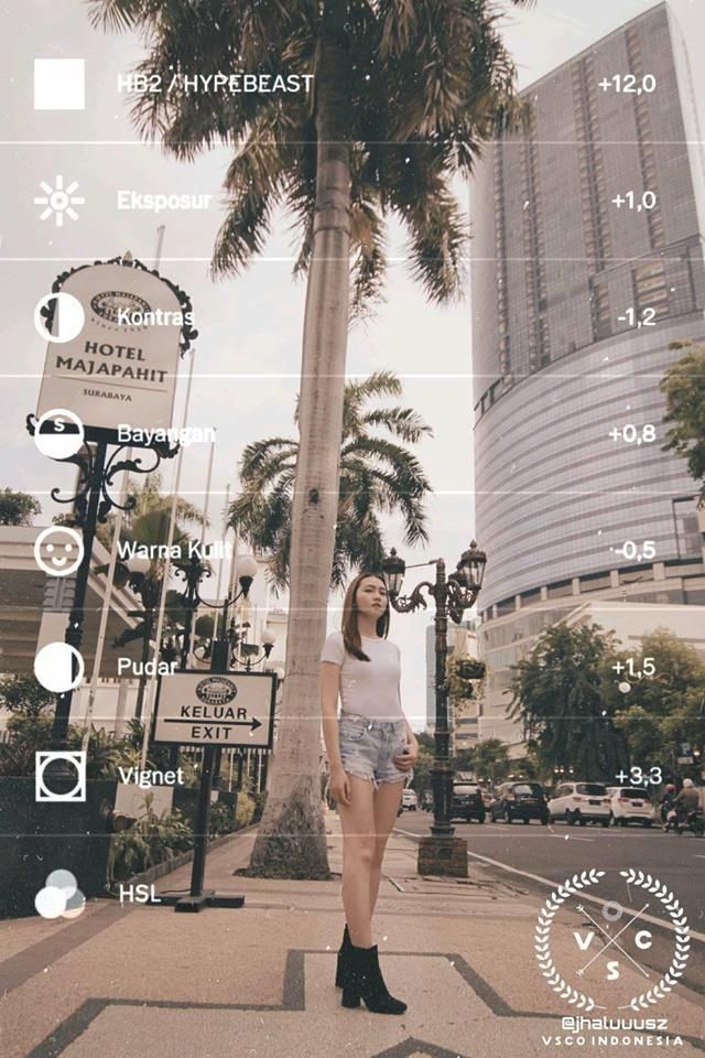 Detail Edit Foto Vsco Nomer 2