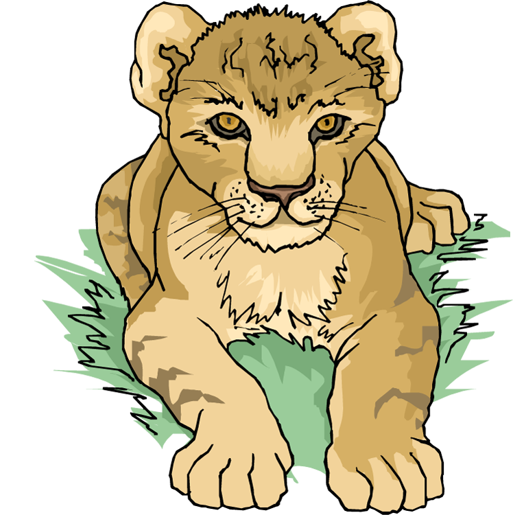 Detail Lion Cub Images Nomer 4