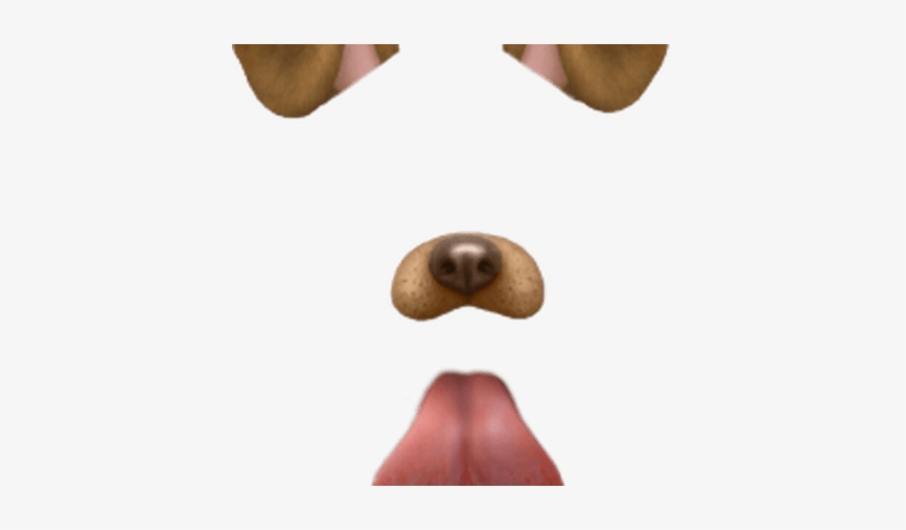 Detail Snapchat Dog Filter Png Nomer 2