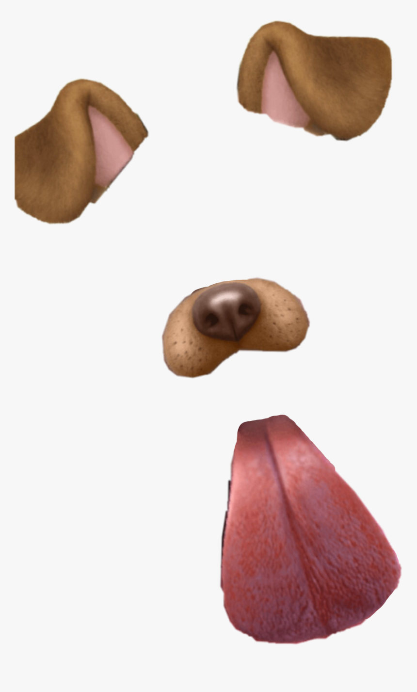 Detail Snapchat Dog Filter Png Nomer 3