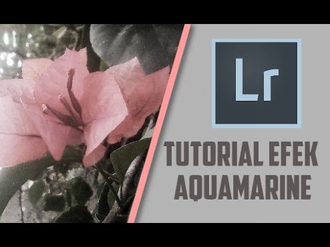 Detail Efek Aquamarine Di Photoshop Android Nomer 8